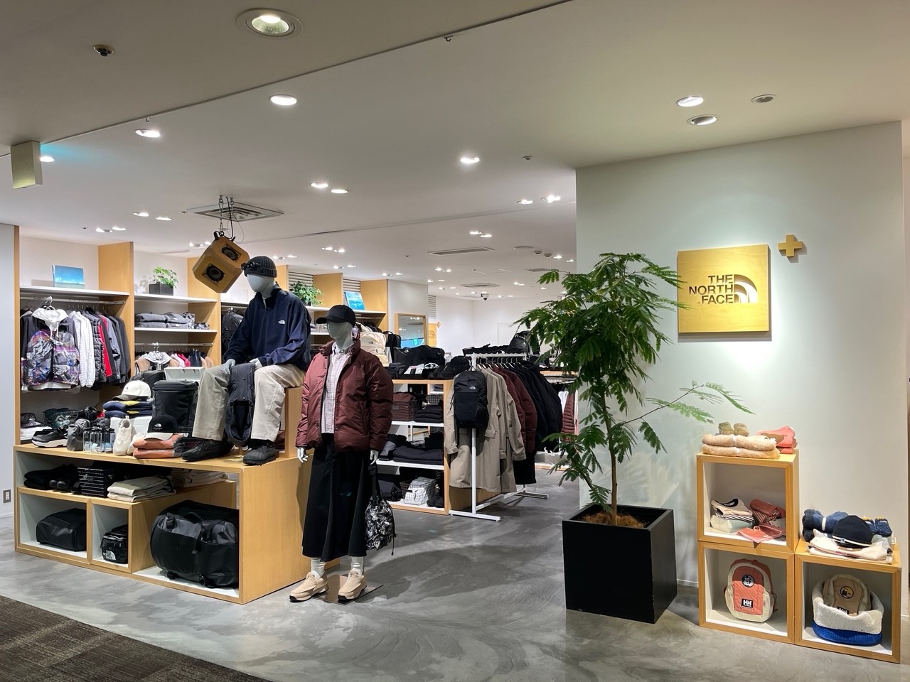 ＴＨＥ ＮＯＲＴＨ ＦＡＣＥ+