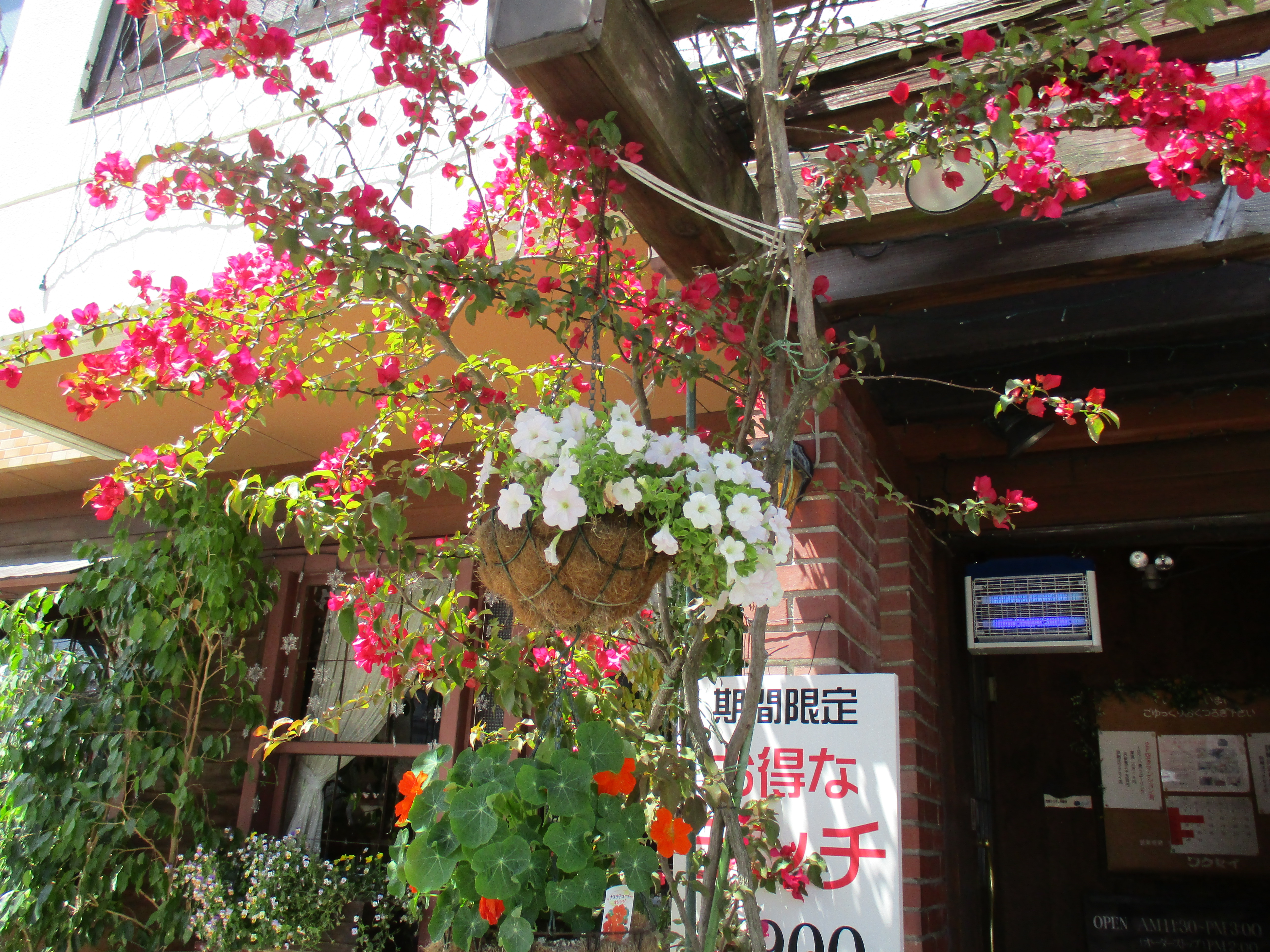 レストランワクセイ