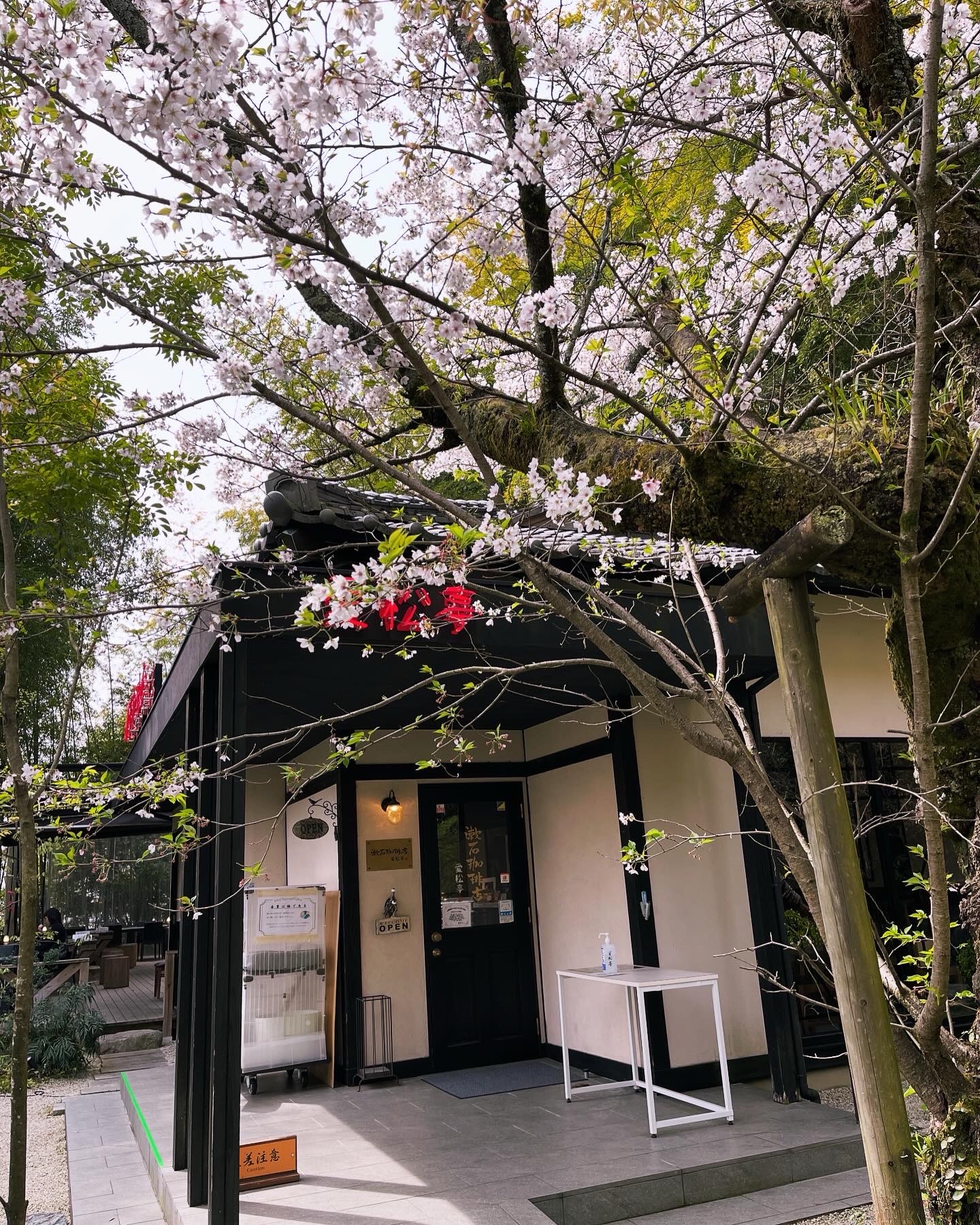 漱石珈琲店　愛松亭