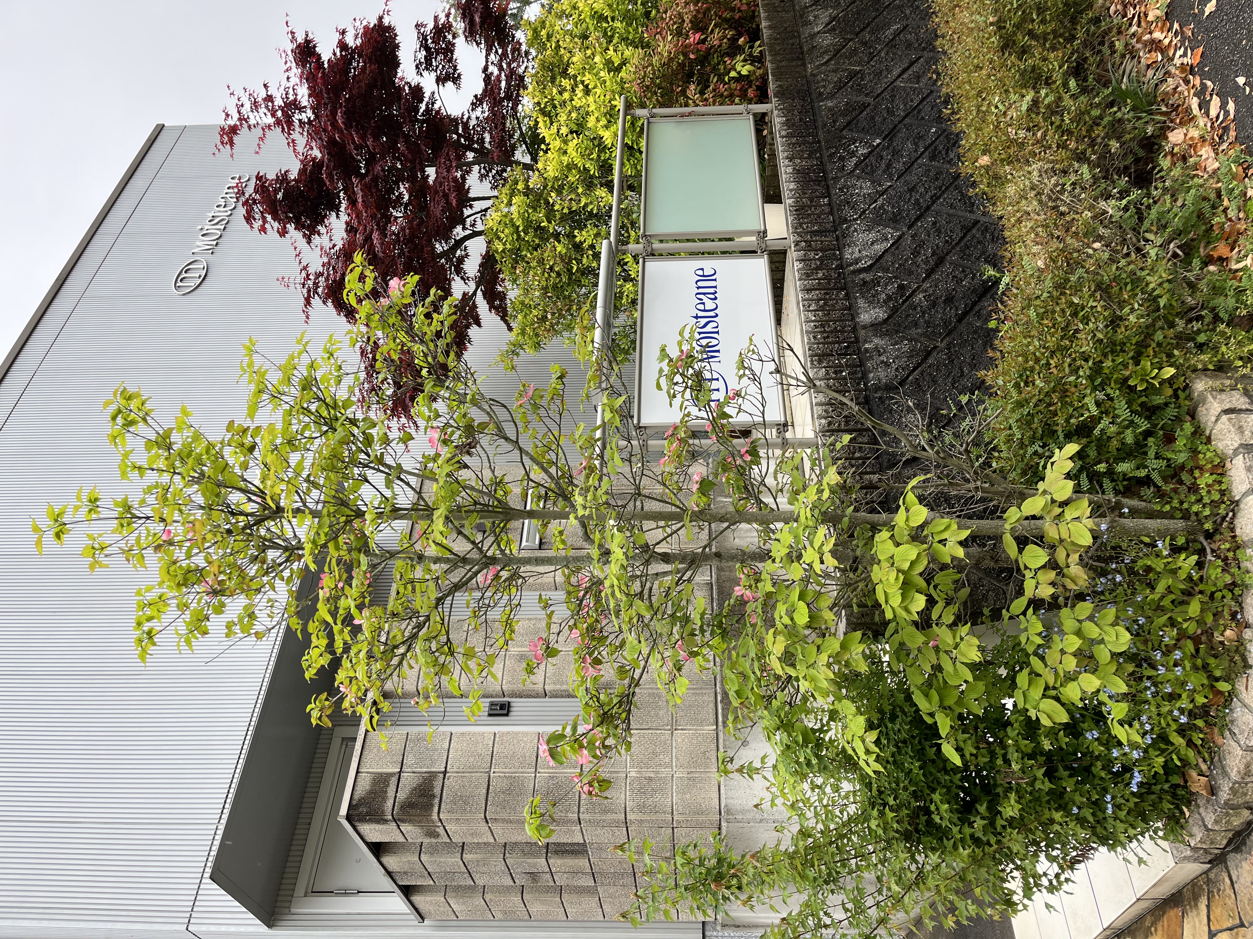 モイスティーヌ松山湯の山サロン