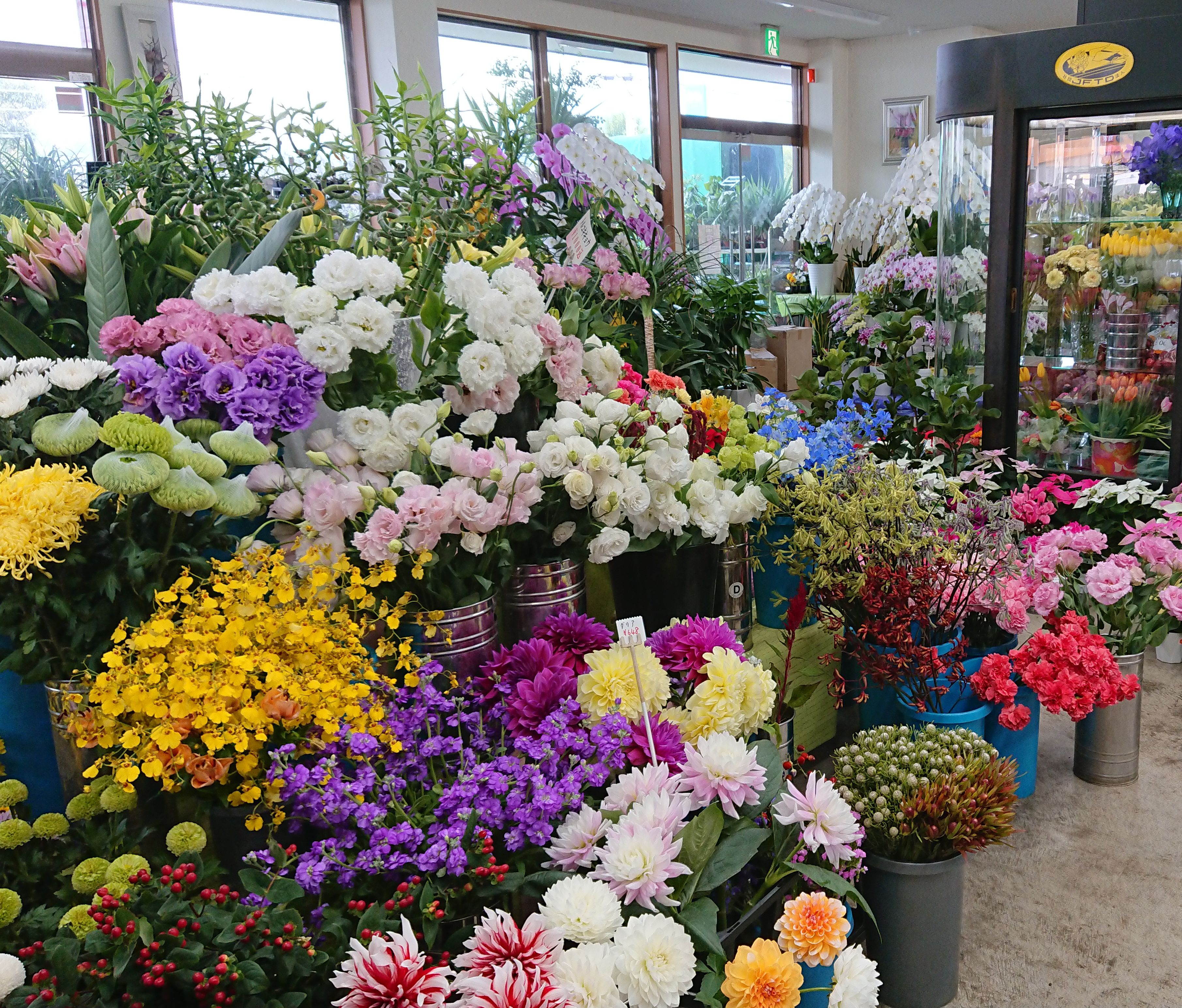 フラワーハウス愛花