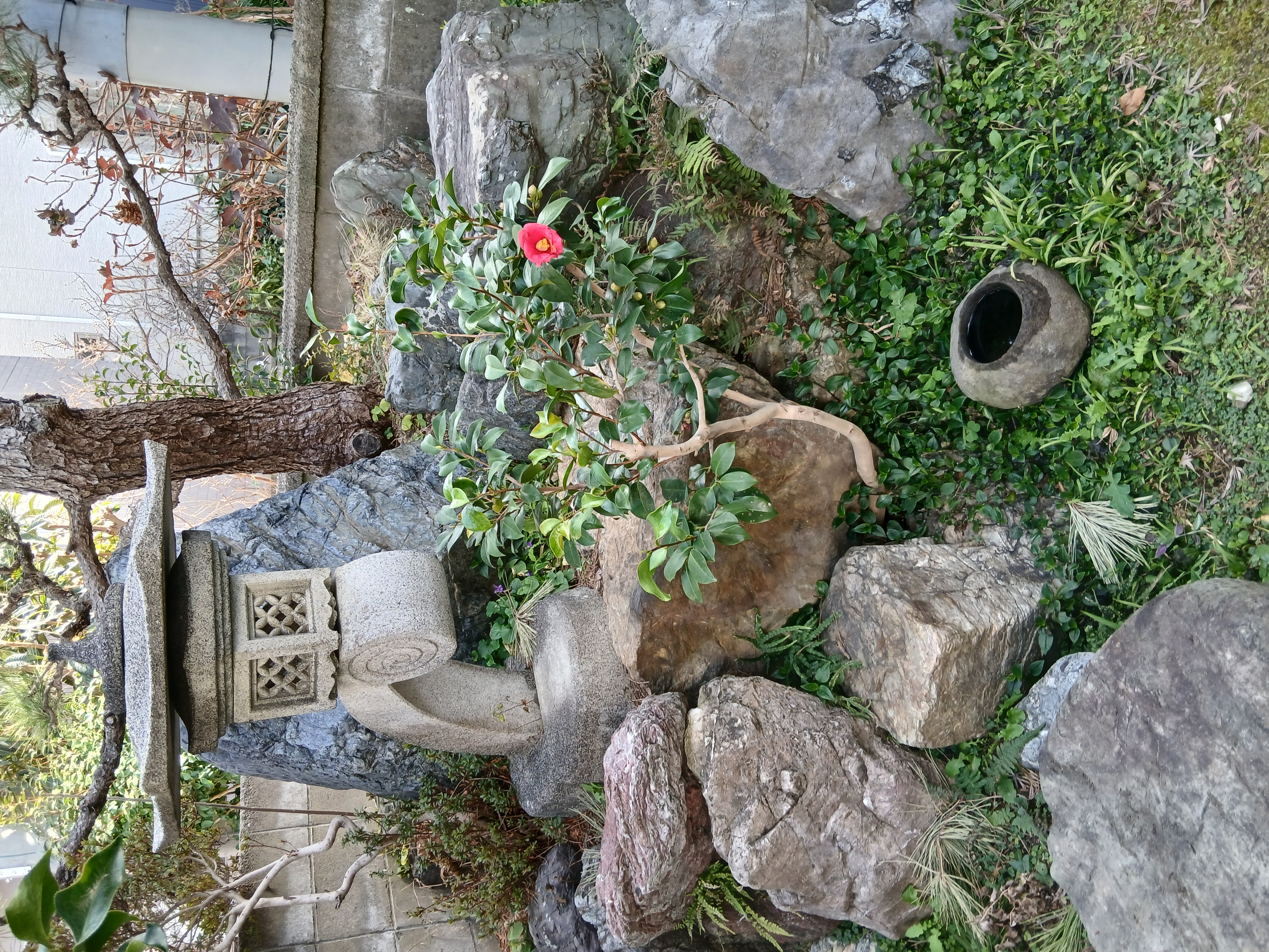 PETITPARIS (プチパリ)