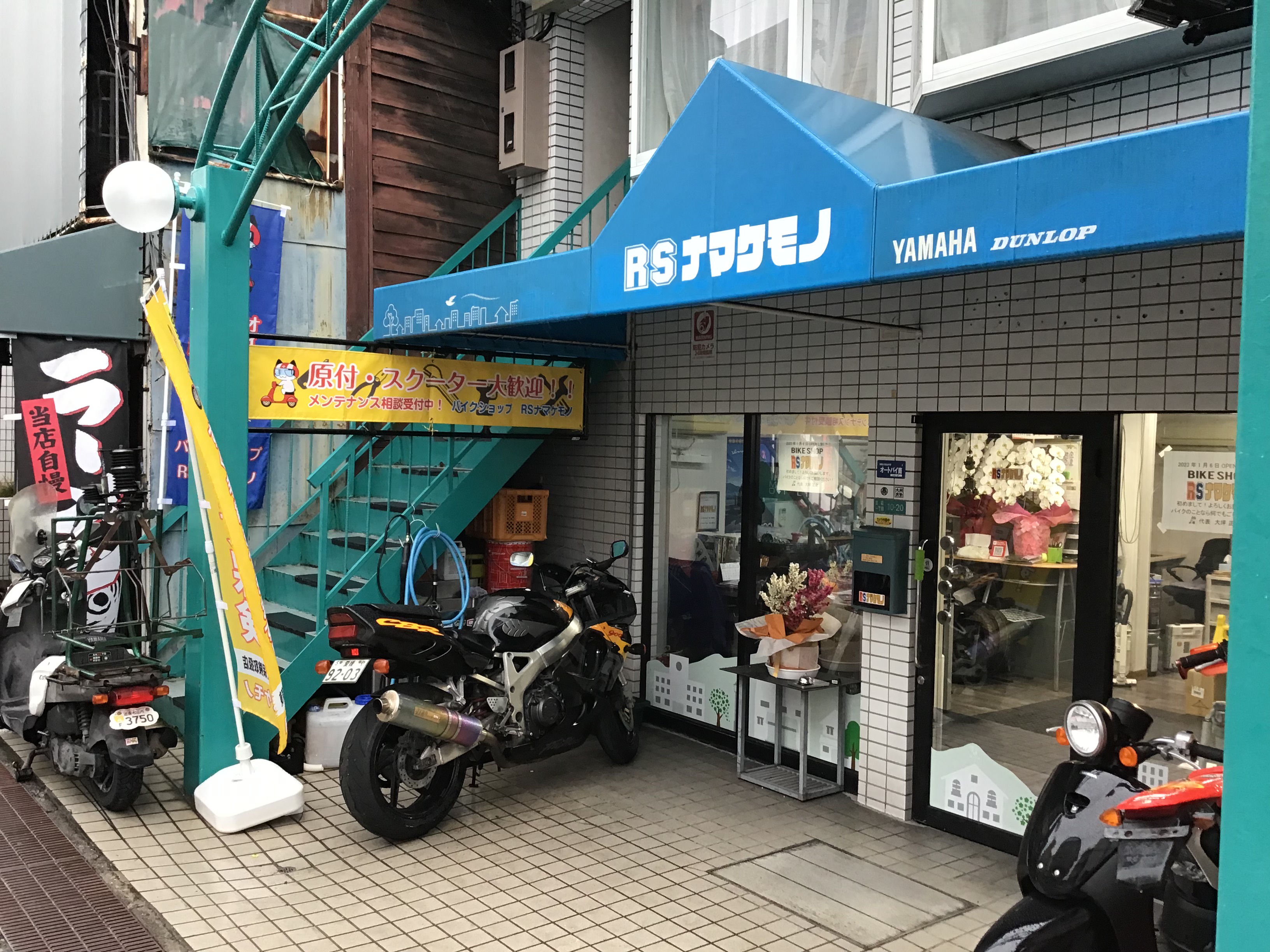 ＲＳナマケモノ